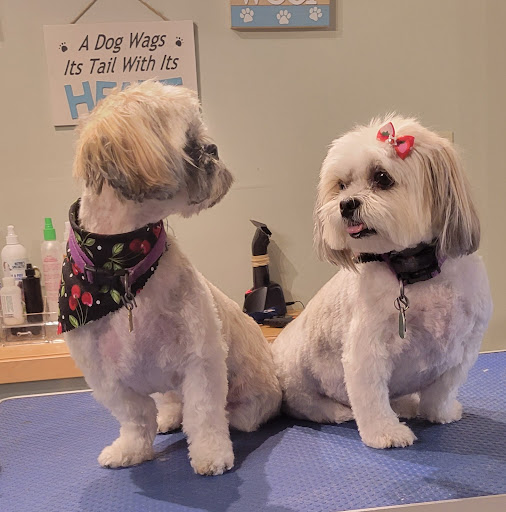 Fit to Be Groomed - Image 1