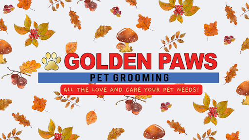 Golden Paws Pet Grooming - Image 1