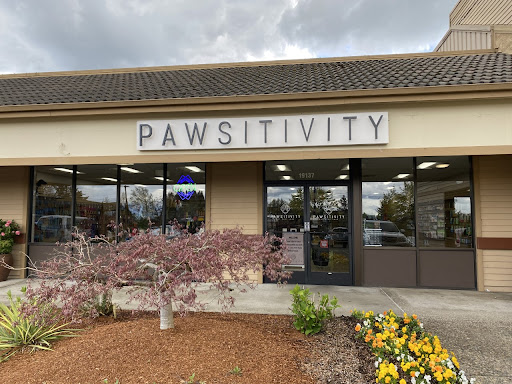 Pawsitivity - Image 1