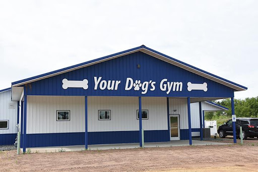 Your Dog's Gym - Image 1