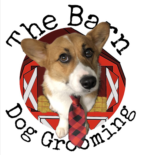 The Barn Dog Grooming - Image 1