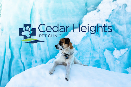 Cedar Heights Pet Clinic - Image 1