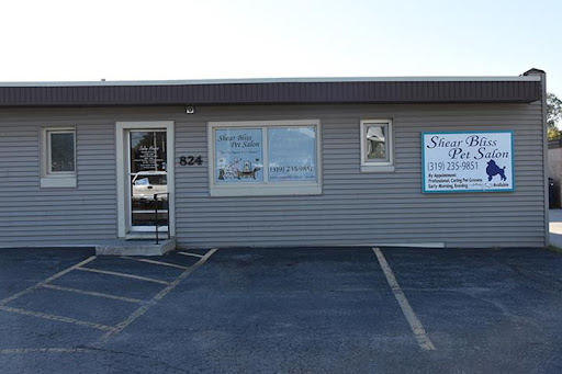 Shear Bliss Pet Salon - Image 1