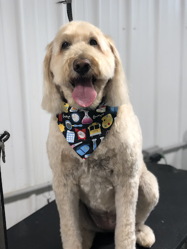 Doodle Doo’s Groom & Board, LLC - Image 1