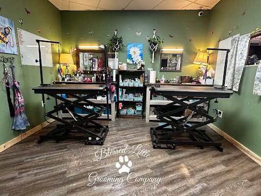 Blessed Little Grooming Company, LLC - Image 1