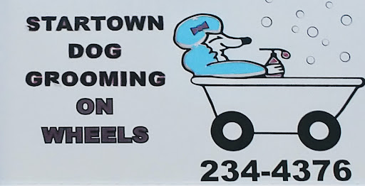 Startown Dog Grooming On Wheels - Image 1