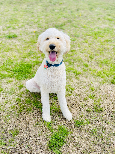 Riverside Veterinary Hospital: Bob Cameron DVM - Image 1