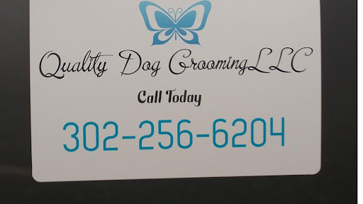 Quality Dog Grooming LLC - Image 1