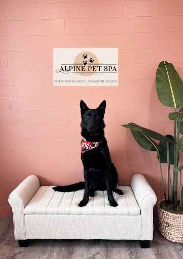 Alpine Pet Spa - Image 1