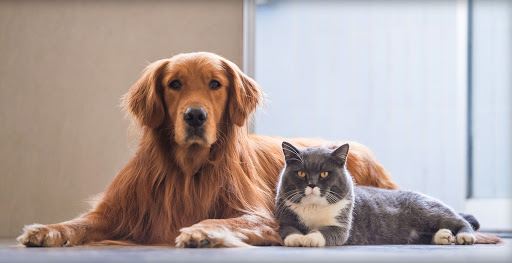 Bear Brook Kennel - Image 1