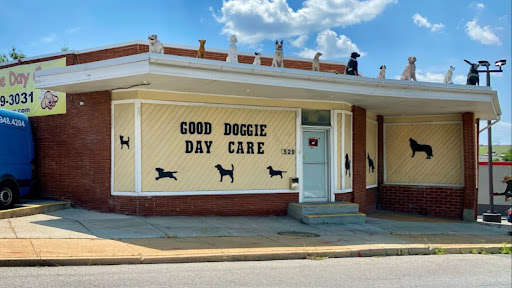 Good Doggie Day Care Inc - Image 1