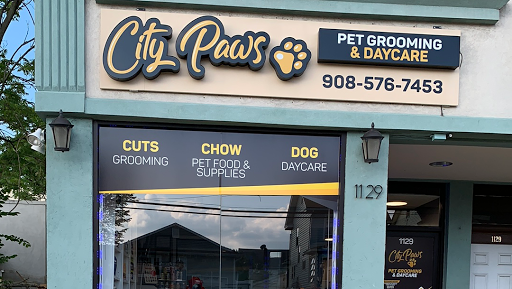 City Paws Pet Grooming - Image 1