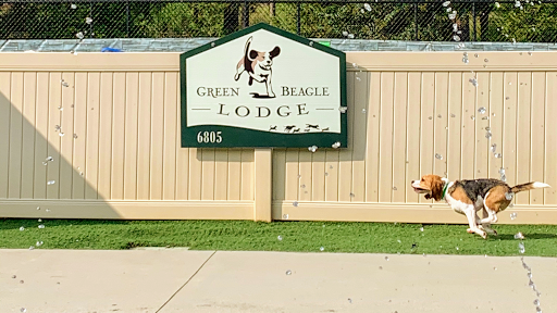 Green Beagle Lodge - Image 1