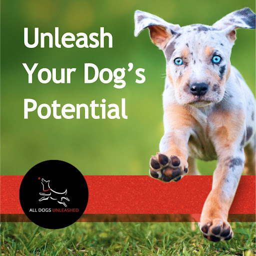 All Dogs Unleashed Dog Training Dallas - Image 1