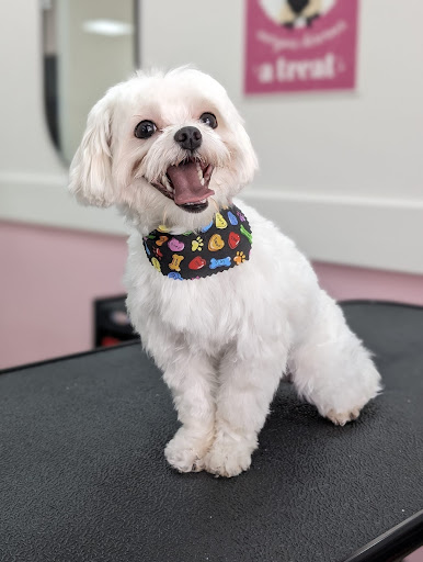 Woof Gang Bakery & Grooming Naperville - Image 1