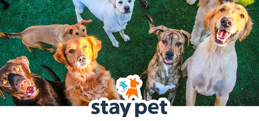 Stay Pet (Resort & Veterinary) - Image 1