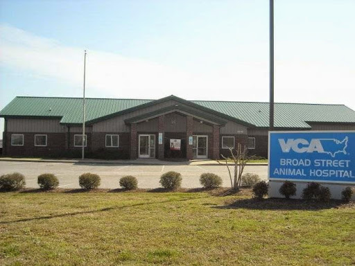 VCA Broad Street Animal Hospital - Image 1