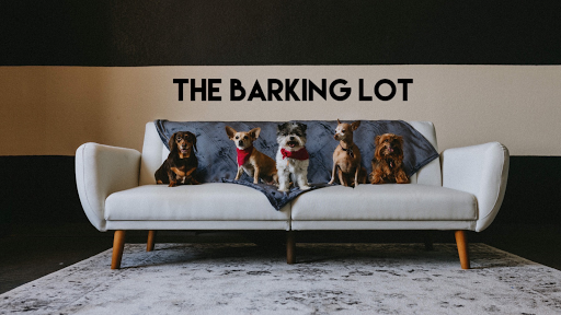 The Barking Lot - Image 1