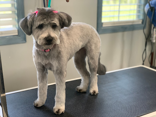 Bella Pooch Canine Salon - Image 1