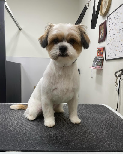 Groom and Grow Pet Salon - Image 1