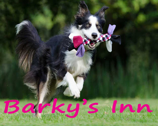 Barky's Inn - Image 1