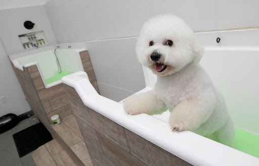 The Dog Den Grooming Spa - Image 1