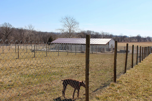 Sweet Pea Kennels - Image 1