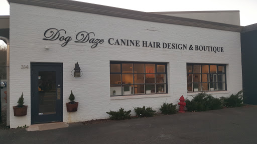 Dog Daze Canine Hair Design - Image 1