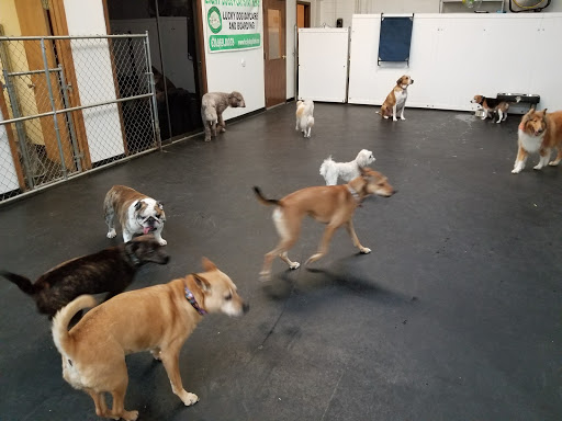 Lucky Dog Daycare & Boarding - Image 1