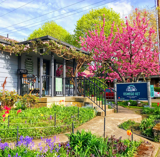 Oswego Veterinary Hospital - Image 1