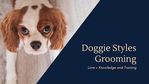 Doggie Styles Grooming, LLC. - Image 1