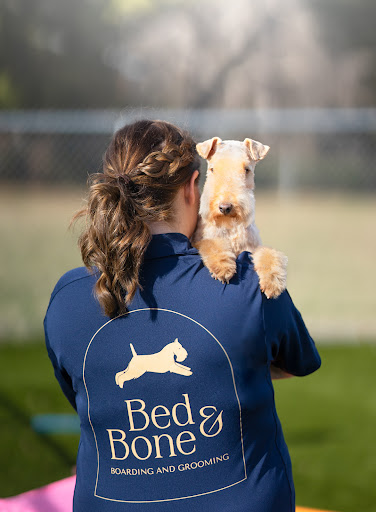 Bed & Bone Boarding and Grooming - Image 1