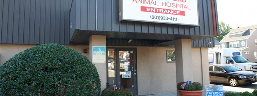 VCA Rutherford Animal Hospital - Image 1