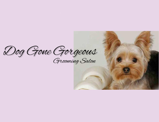 Dog Gone Gorgeous Grooming Salon - Image 1