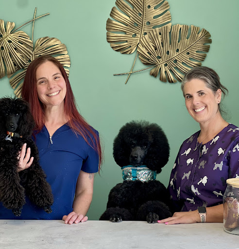 Good Dog Premier Salon - Image 1