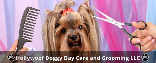 Hollywoof Doggy Day Care and Grooming LLC - Image 1