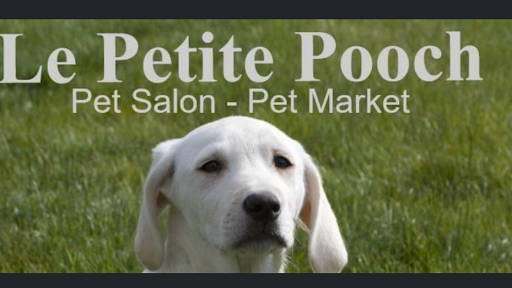 Le Petite Pooch - Image 1