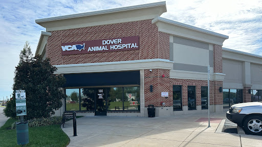 VCA Dover Animal Hospital - Image 1