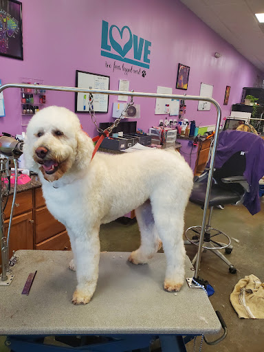 Bonnie's Pet Grooming llc - Image 1