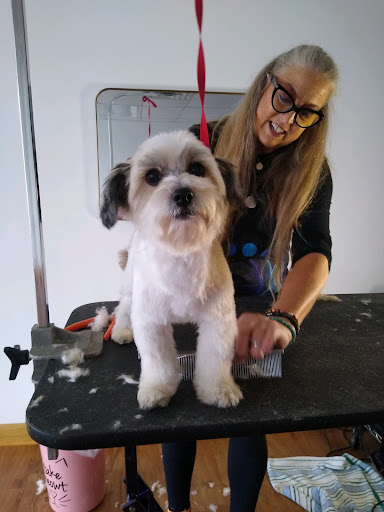 Kimberly Cook Master Groomer - Image 1