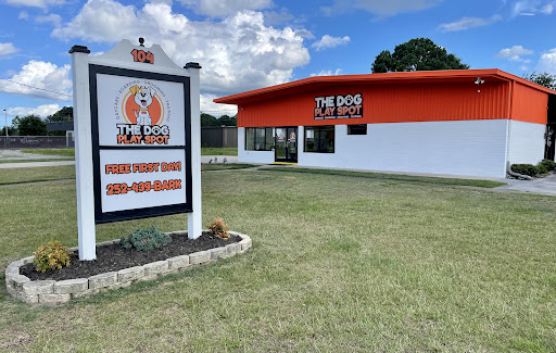 The Dog Play Spot - Boarding, Daycare and Grooming - Image 1