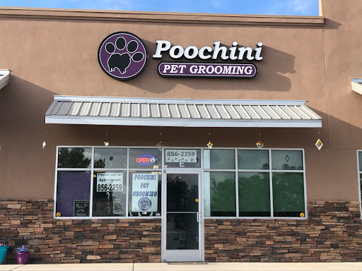 Poochini Pet Grooming - Image 1