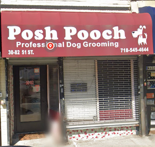 The Posh Pooch - Enrichment Daycare, Grooming, Cage-Free Boarding - Image 1