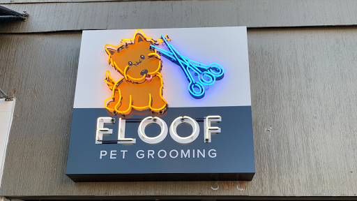 FLOOF pet grooming - Image 1