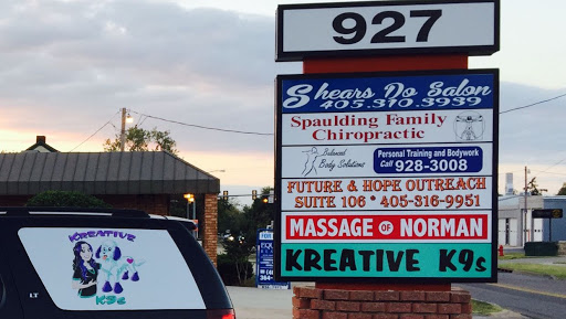 Kreative K9s Salon and mobile groomer - Image 1