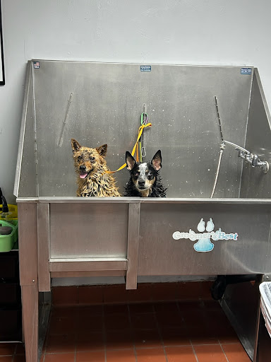 Uptown Pet Spa Scottsdale - Image 1