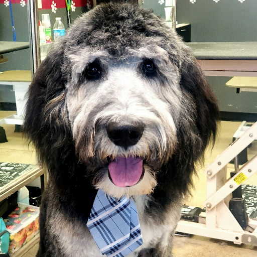 Lakewood Pet Grooming (formerly Furtastic) - Image 1