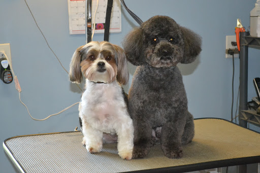 Posh Pets Dog Grooming - Image 1