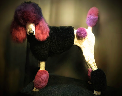 Ruff to Regal Dog Grooming - Image 1