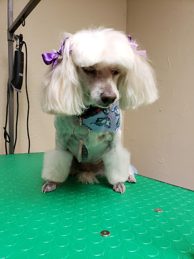 E. P. Pet Grooming - Image 1